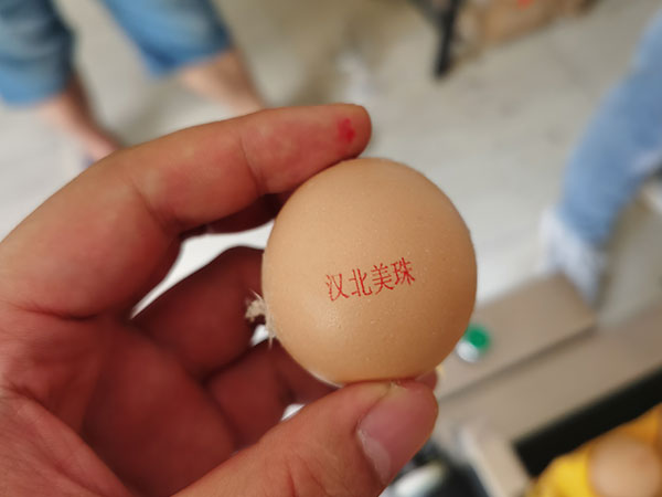 武漢蛋品噴碼機(jī)（經(jīng)濟(jì)適用型）