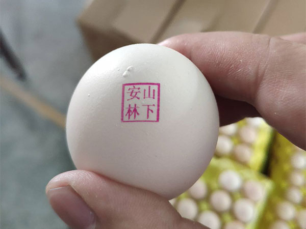 高清高速蛋品噴碼機(jī)