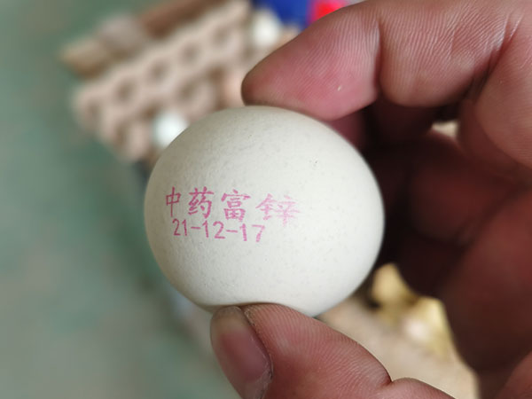 武漢蛋品噴碼機(jī)（經(jīng)濟(jì)適用型）
